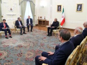 جزئیات دیدار پزشکان با وزیر کشور پاکستان