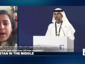 روزنامه نگار پاکستانی: امارات ده ها هزار پاکستانی شیعه را اخراج و دست خالی به پاکستان بازگرداند