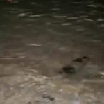 لاشه هواپیمای بدون سرنشین منهدم شده در قشم پیدا شد