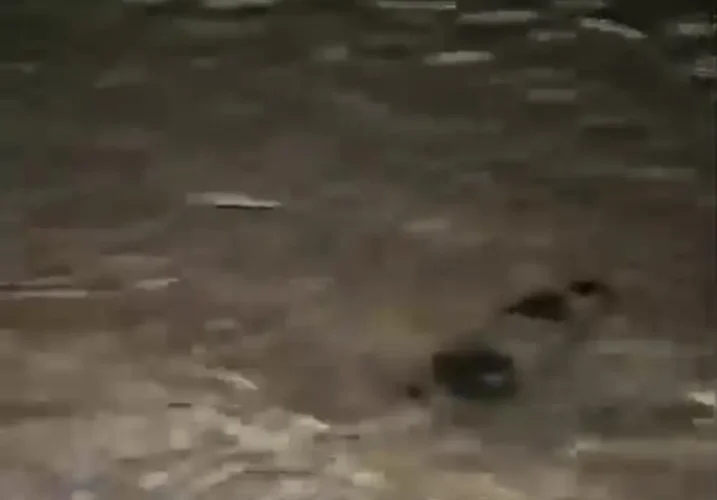 لاشه هواپیمای بدون سرنشین منهدم شده در قشم پیدا شد