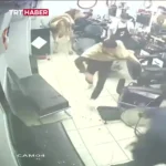 ورود نابهنگام یک گاو به آرایشگاه مردانه در استانبول