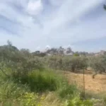 ویدئو؛ حملات هوایی اسرائیل در جنوب لبنان ادامه دارد