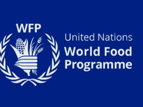هشدار WFP: درگیری ها در خاورمیانه میلیون ها نفر را به مرز گرسنگی کشانده است