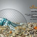 جایزه ویژه هیئت داوران شیلی به مستندساز بوشهری رسید