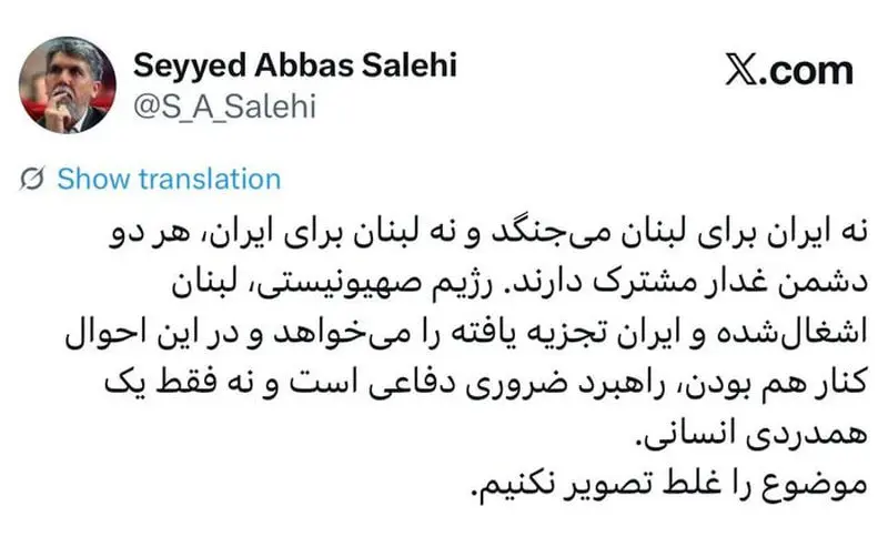 وزیر فرهنگ: با هم بودن ایران و لبنان یک استراتژی دفاعی ضروری است 4 سید عباس