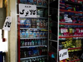 اخبار جدید سخنگوی دولت در خصوص افزایش میزان کالابرگ