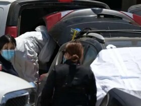 ماجرای پیدا شدن جسد نزدیک محل تمرین تیم ملی! 8 ماجرای پیدا شدن جسد نزدیک محل تمرین تیم ملی!