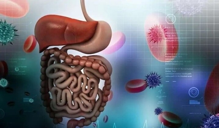 آیا میکروپلاستیک ها با سرطان مرتبط هستند؟