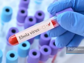 ابولا دوباره بازگشته است. آیا جهان در آستانه یک اپیدمی مرگبار جدید است؟ 8 ابولا دوباره بازگشته است. آیا جهان در آستانه یک اپیدمی مرگبار جدید است؟