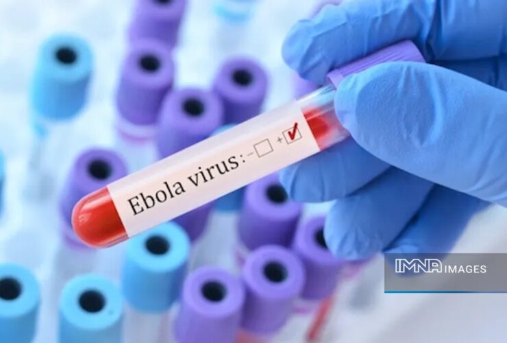ابولا دوباره بازگشته است. آیا جهان در آستانه یک اپیدمی مرگبار جدید است؟ 3 ابولا دوباره بازگشته است. آیا جهان در آستانه یک اپیدمی مرگبار جدید است؟