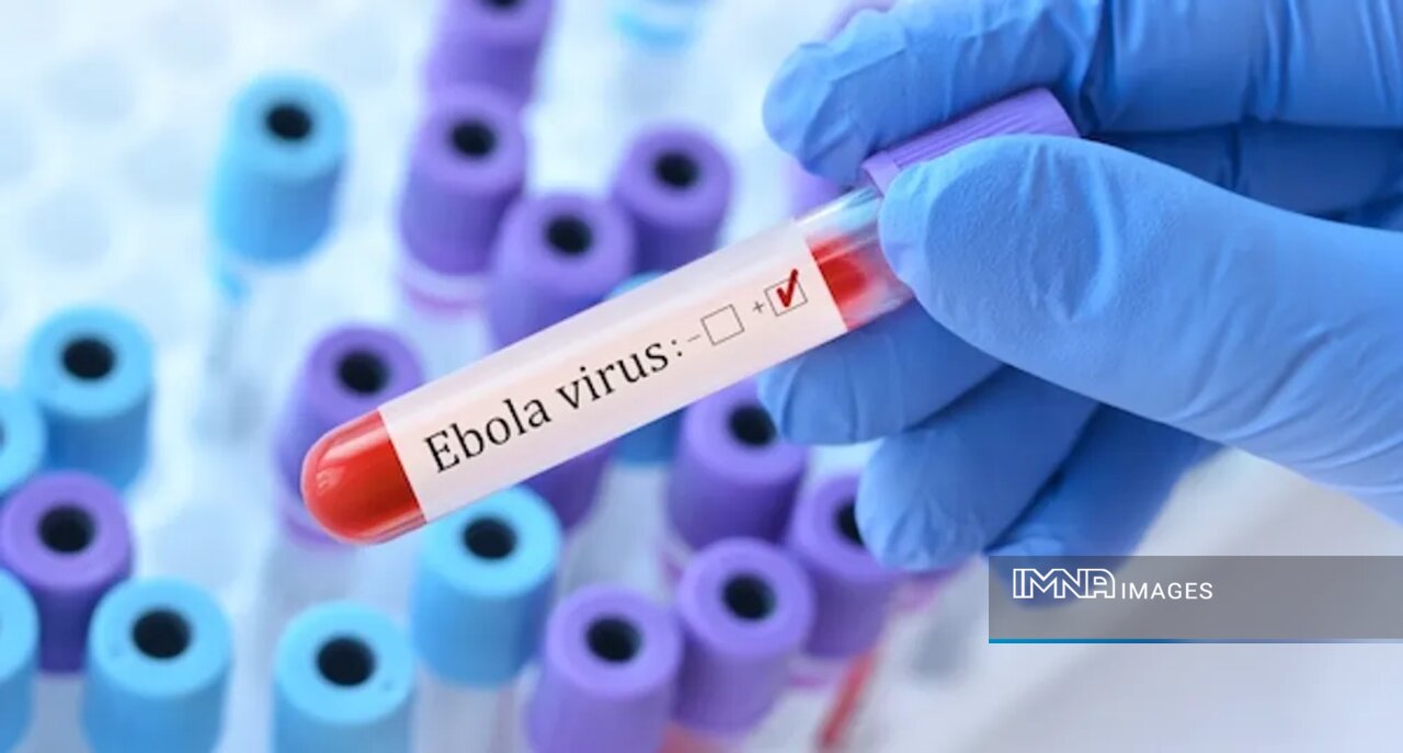 ابولا دوباره بازگشته است. آیا جهان در آستانه یک اپیدمی مرگبار جدید است؟ 1 ابولا دوباره بازگشته است. آیا جهان در آستانه یک اپیدمی مرگبار جدید است؟