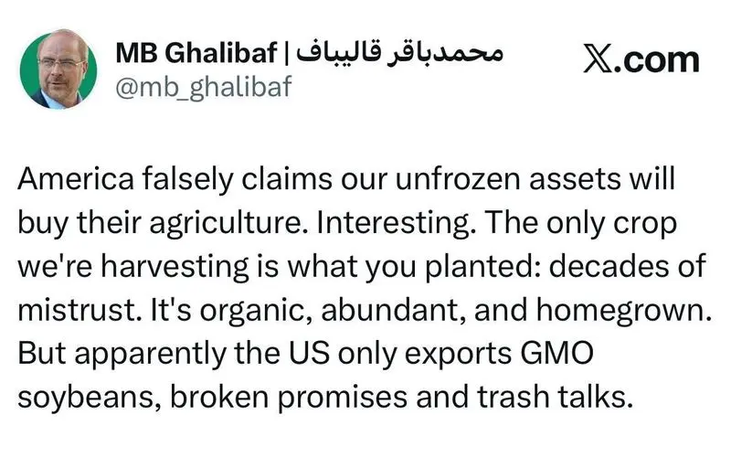 قالی باف