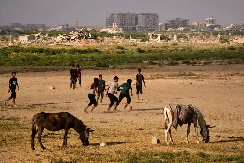 جهان مطابق تصویر