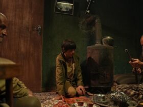 دو جایزه بین المللی برای «هاور» از جشنواره فیلم روسیه