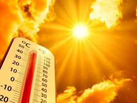 افزایش بی سابقه دما در اروپا/ 300 نفر جان باختند