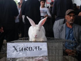 تصاویر; چهره امروزی تاجیکستان، 35 سال پس از استقلال