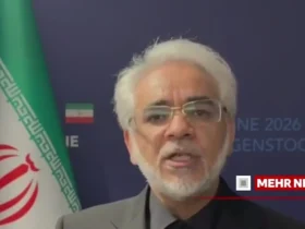 قربانزاده: مذاکرات تا پایان جنگ در لبنان ادامه نخواهد داشت