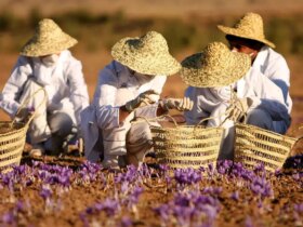قیمت جدید زعفران در بازار