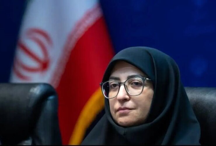 معاون رئیس جمهور: برای اصلاح قانون حمل اسلحه انتظار حمایت داریم 9 معاون رئیس جمهور: برای اصلاح قانون حمل اسلحه انتظار حمایت داریم