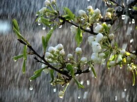 هشدار زرد هواشناسی/ در 17 استان بارندگی رخ می دهد