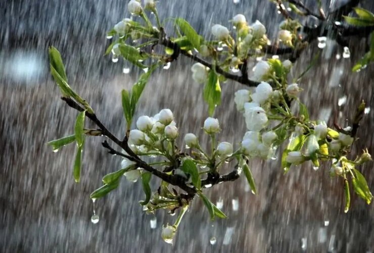 هشدار زرد هواشناسی/ در 17 استان بارندگی رخ می دهد