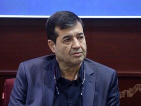 هشدار وزیر ورزش در خصوص شعار و پرچم در جام جهانی