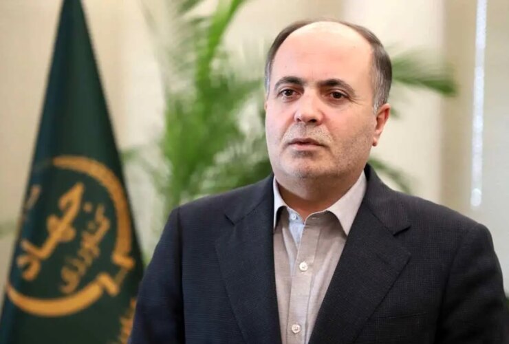 وزیر زراعت: قرار است با دستور رئیس جمهور میزان کالابرگ افزایش یابد
