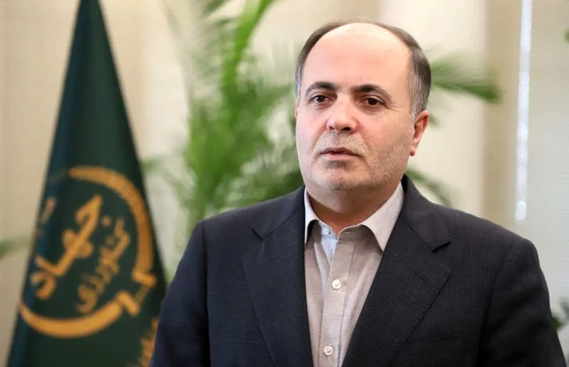 وزیر زراعت: قرار است با دستور رئیس جمهور میزان کالابرگ افزایش یابد