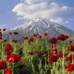 از ذوب شدن یخچال های طبیعی تا زباله؛ چالش های امروز دماوند