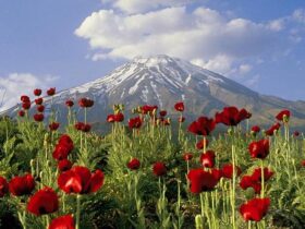 از ذوب شدن یخچال های طبیعی تا زباله؛ چالش های امروز دماوند