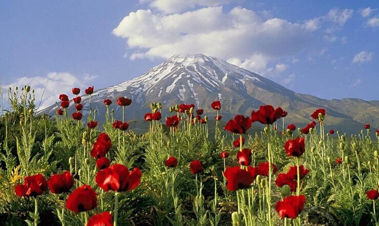 از ذوب شدن یخچال های طبیعی تا زباله؛ چالش های امروز دماوند