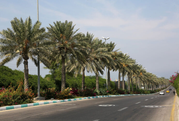 بازگشت کیش کافی نیست