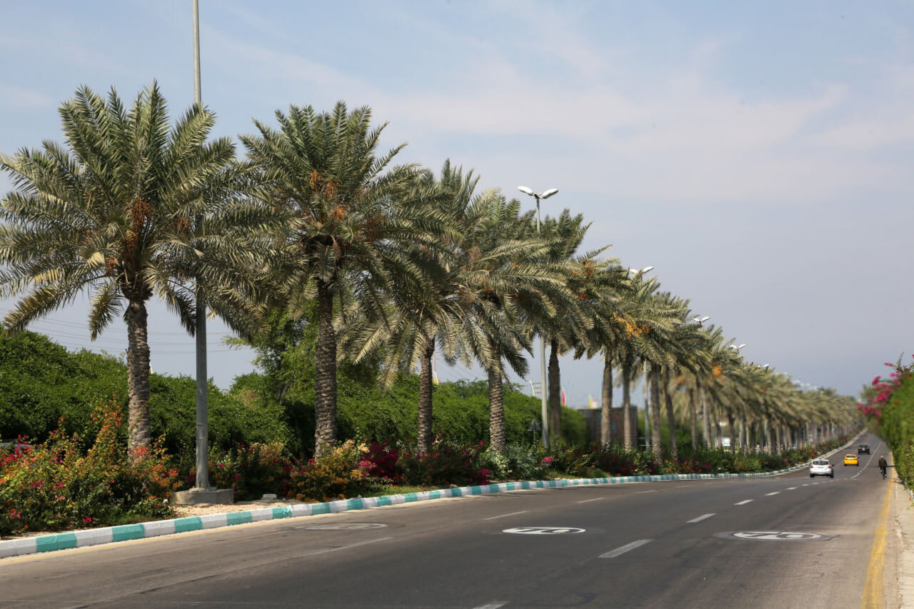 بازگشت کیش کافی نیست