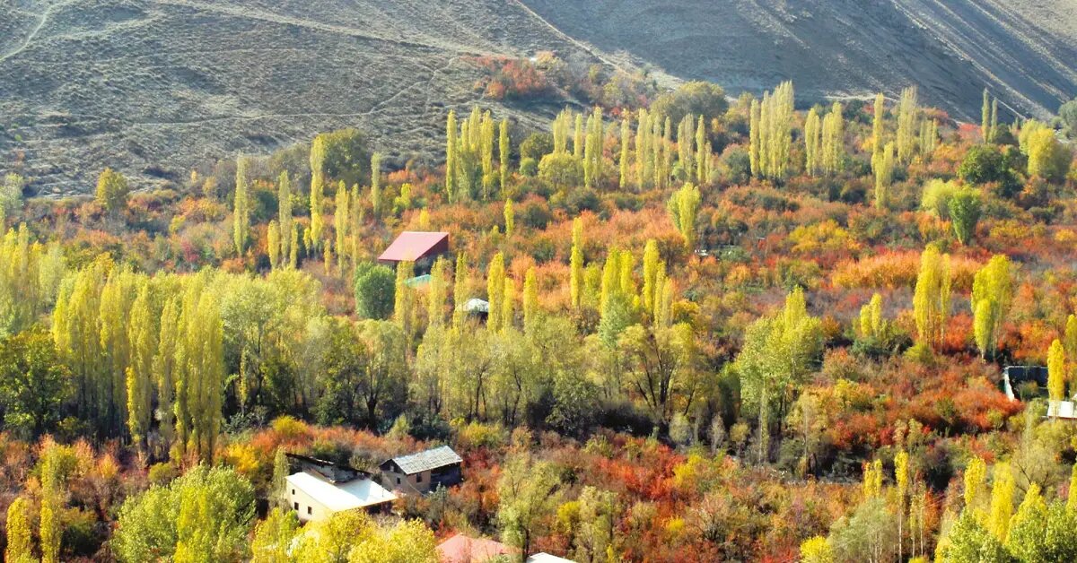 خنک، نزدیک و آسان؛ از این 6 مقصد آخر هفته دیدن کنید/ بهترین مقاصد اطراف تهران در روزهای پایانی تیرماه