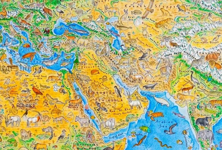 تصاویر; شاهکاری از سیاره ای بدون سیاست، فقط حیات وحش 19 تصاویر; شاهکاری از سیاره ای بدون سیاست، فقط حیات وحش