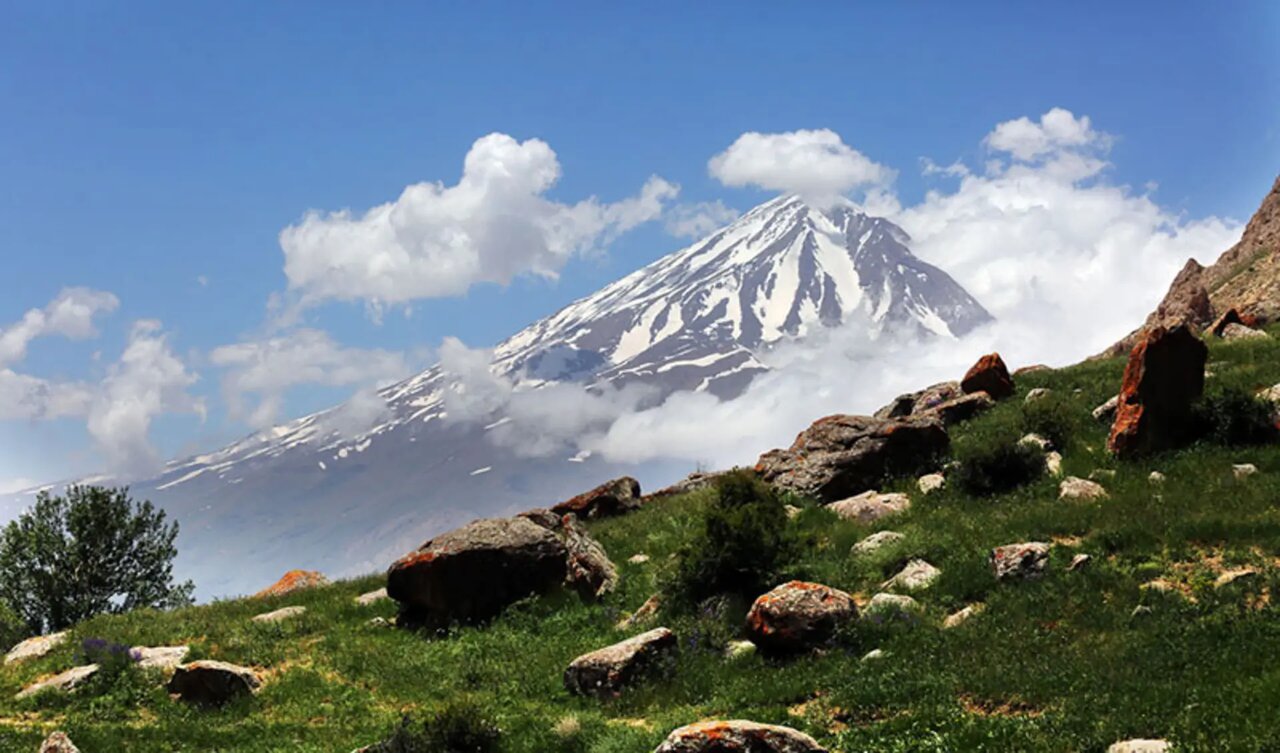 این آخر هفته از باغ ها دیدن کنید. در تابستان 