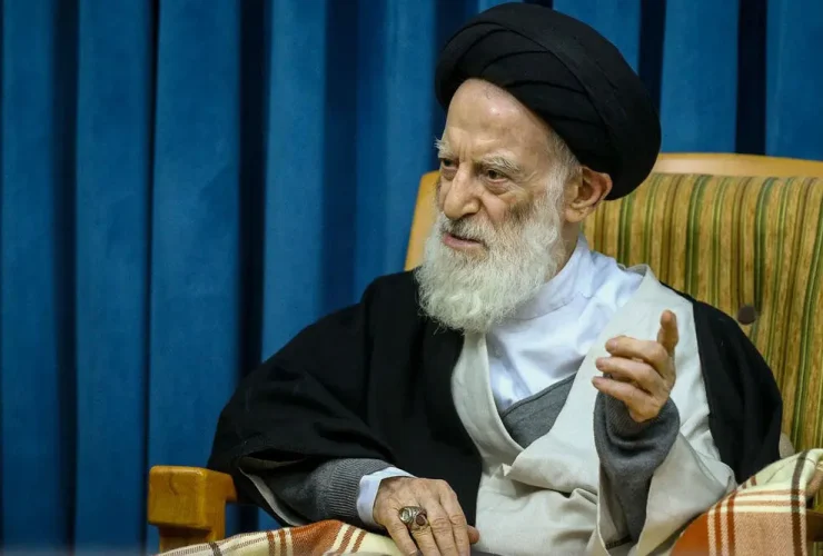 آیت الله شبیری زنجانی در گذشت + زندگی نامه 31 آیت الله شبیری زنجانی در گذشت + زندگی نامه