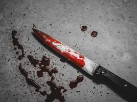 جزئیات جدید از متهم اصلی قتل عام خانواده در پونک