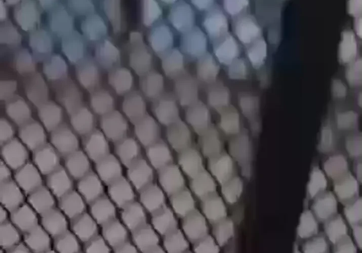 درگیری مسلحانه در جنوب سوریه؛ 3 مامور امنیتی کشته شدند