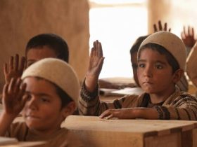 فیلم های «کوچ» و «برغ» به نمایش درآمد 8 فیلم های کوچ و برغ به نمایش درآمد